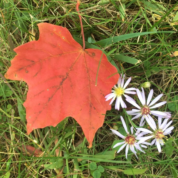 Meet your Posher, Katrin - Picture 7 of 16